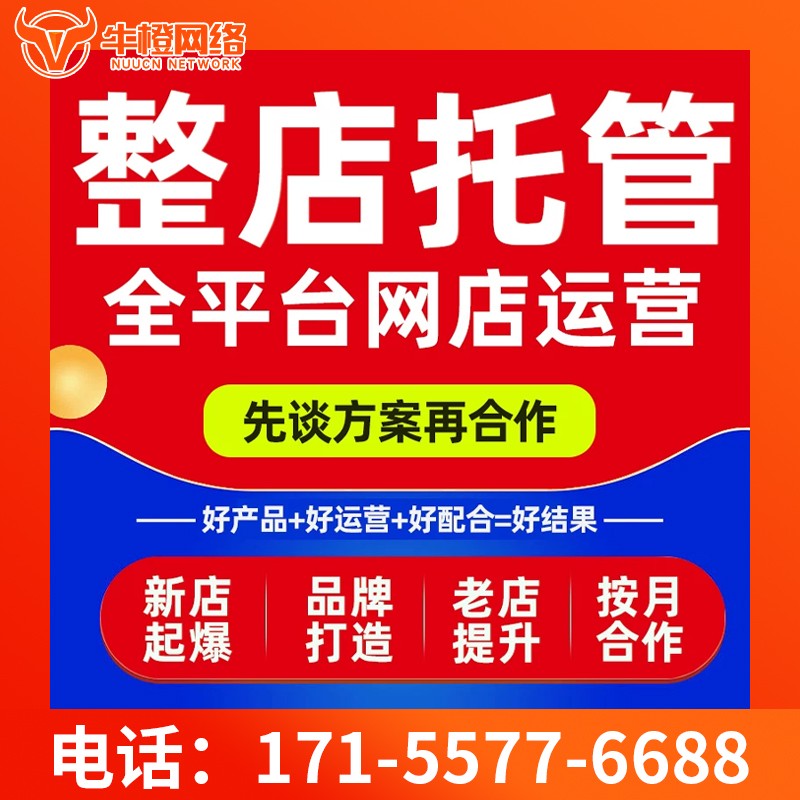 湖州爱采购代运营