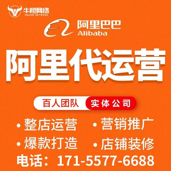 湖州电商代运营