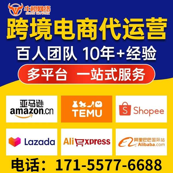 湖州电商代运营