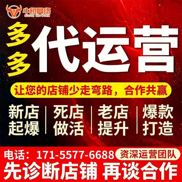 湖州电商代运营