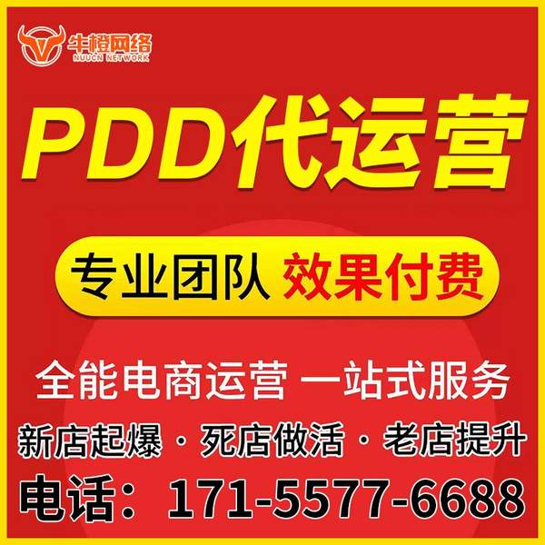 湖州电商代运营