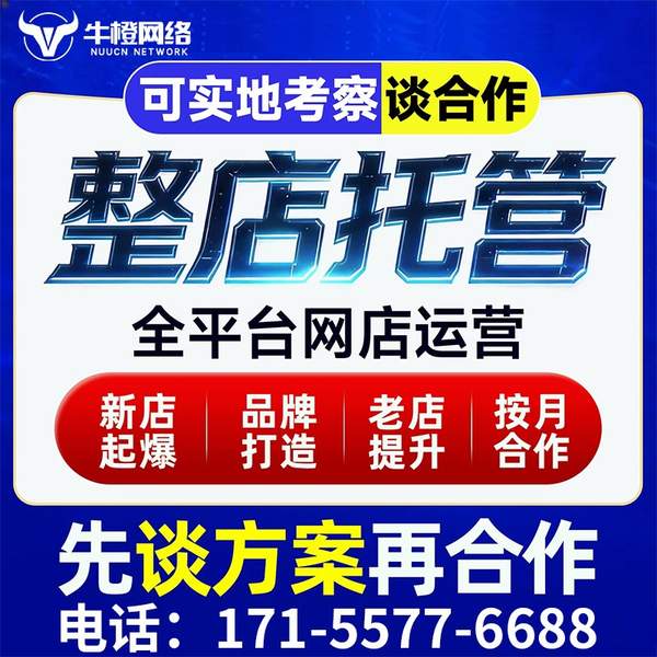 湖州电商代运营