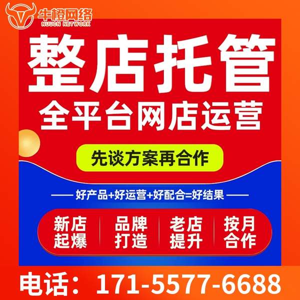 湖州电商代运营