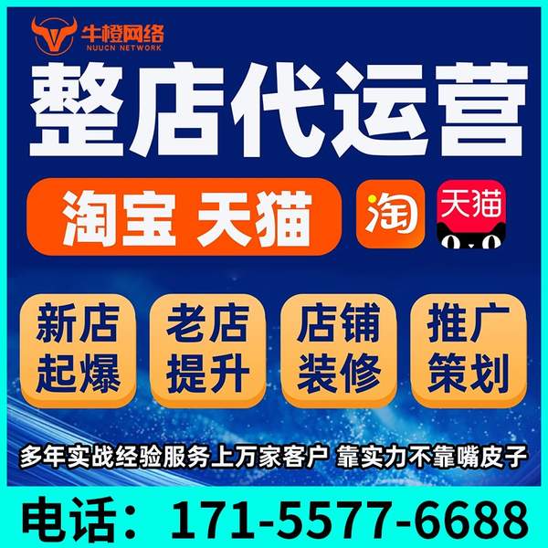湖州电商代运营