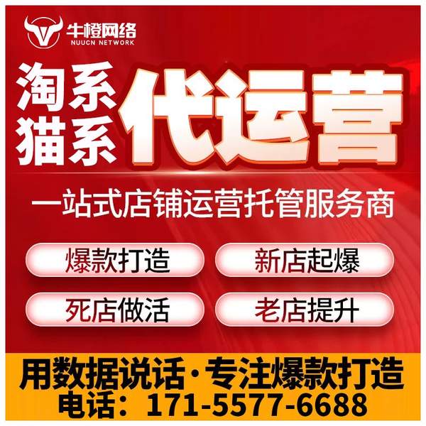 湖州电商代运营